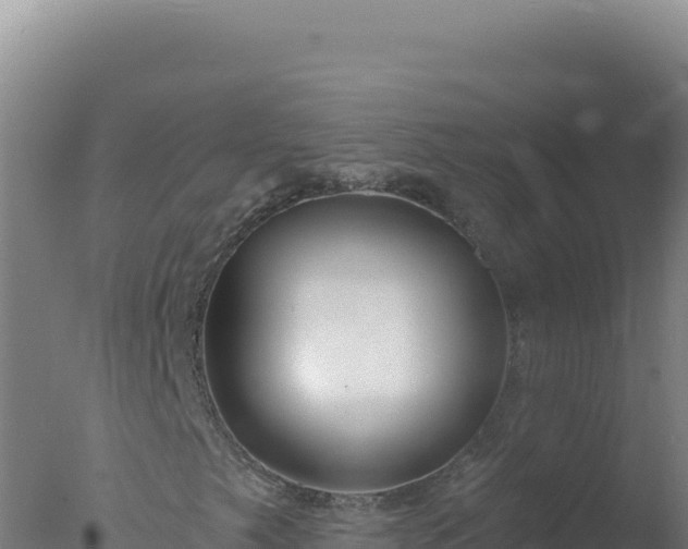 X0000077371249200610271911