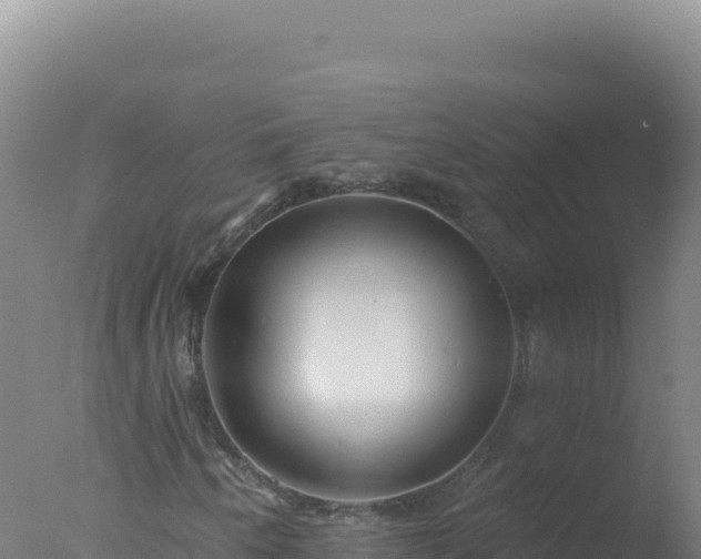 X0000077371250200610271911