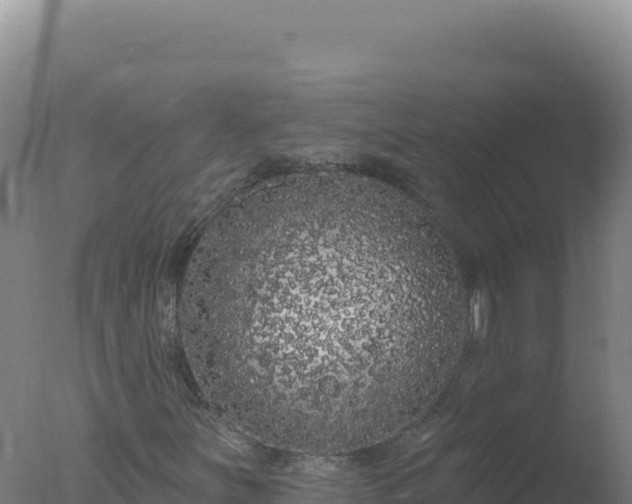 X0000077371251200610271911