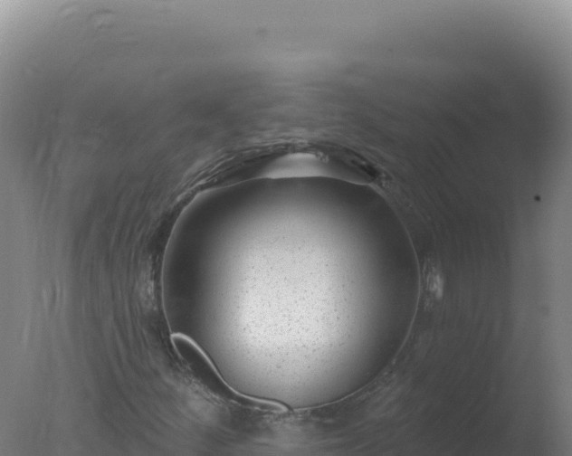 X0000077371252200610271911