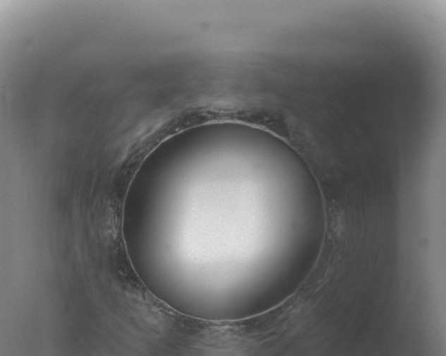 X0000077371253200610271911