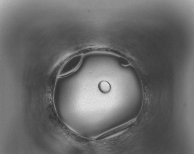 X0000077371255200610271911