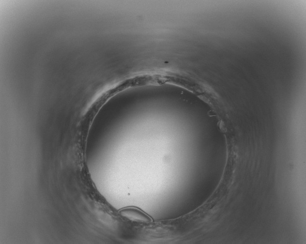 X0000077371256200610271911