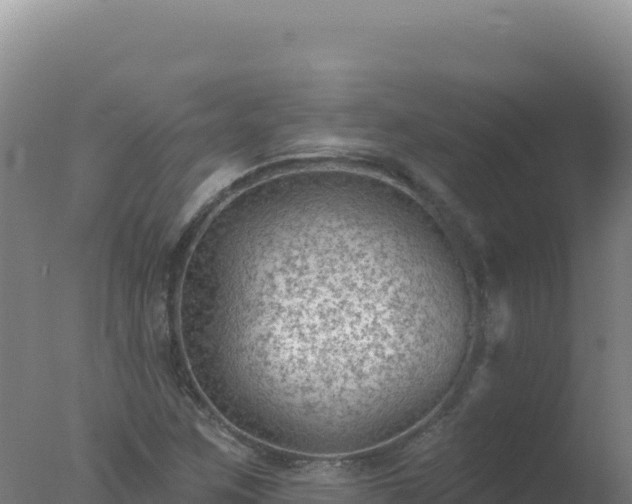 X0000077371259200610271911