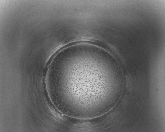 X0000077371260200610271911