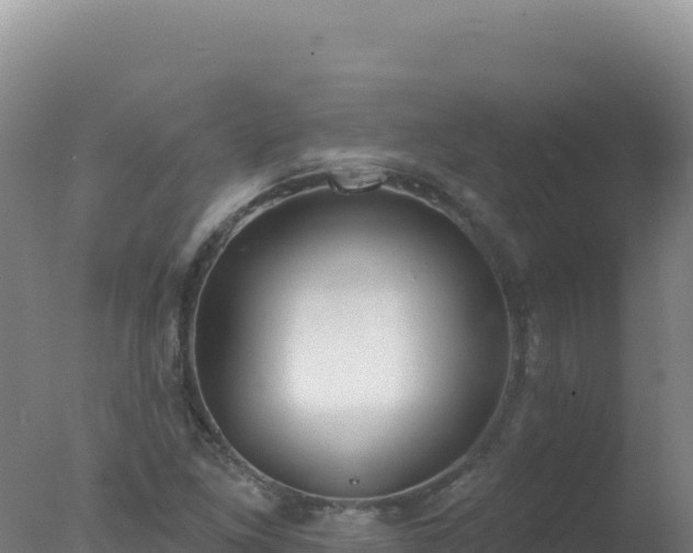 X0000077371261200610271911