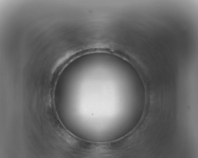 X0000077371262200610271911