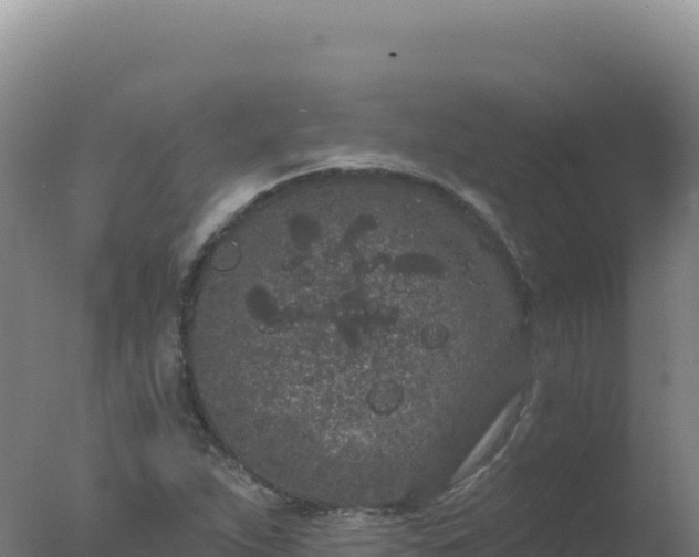 X0000077371263200610271911