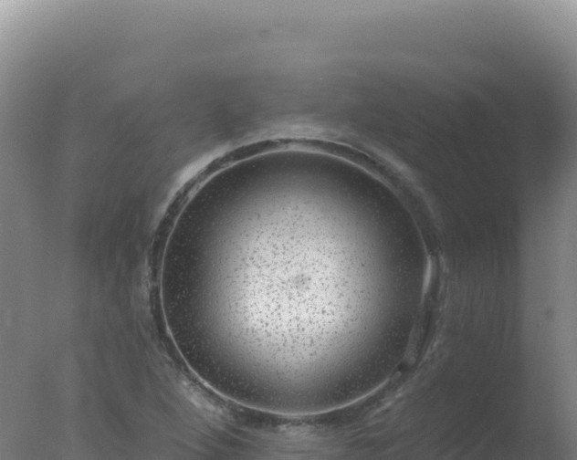 X0000077371264200610271911