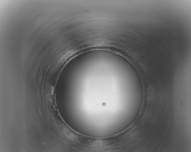 X0000077371265200610271911