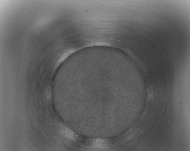 X0000077371266200610271911