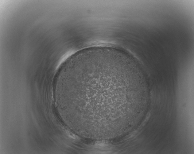 X0000077371267200610271911