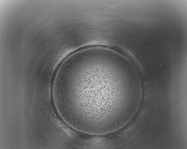 X0000077371268200610271911