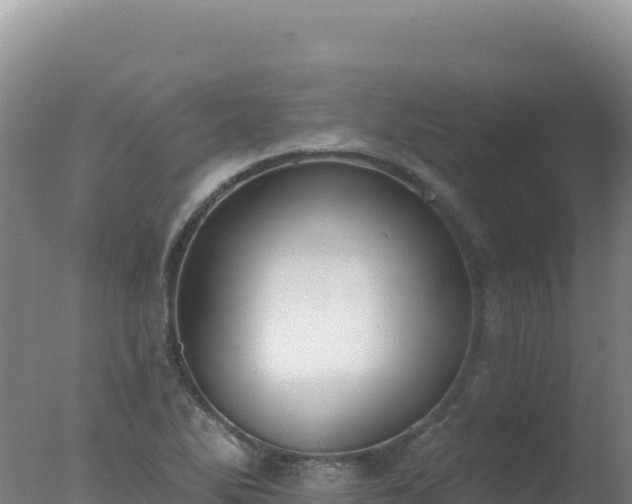 X0000077371270200610271911