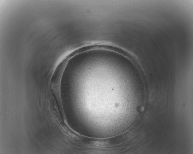 X0000077371271200610271911