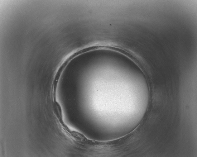 X0000077371272200610271910