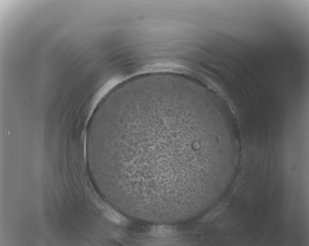 X0000077371275200610271910