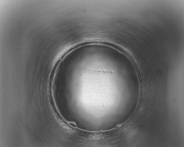 X0000077371279200610271910