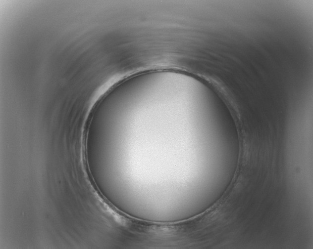 X0000077371286200610271910