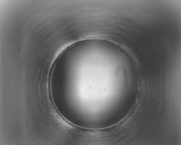 X0000077371288200610271910