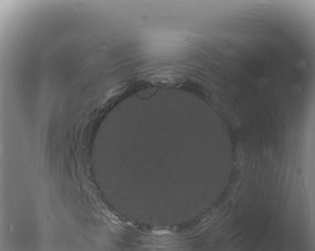 X0000077371297200610271909