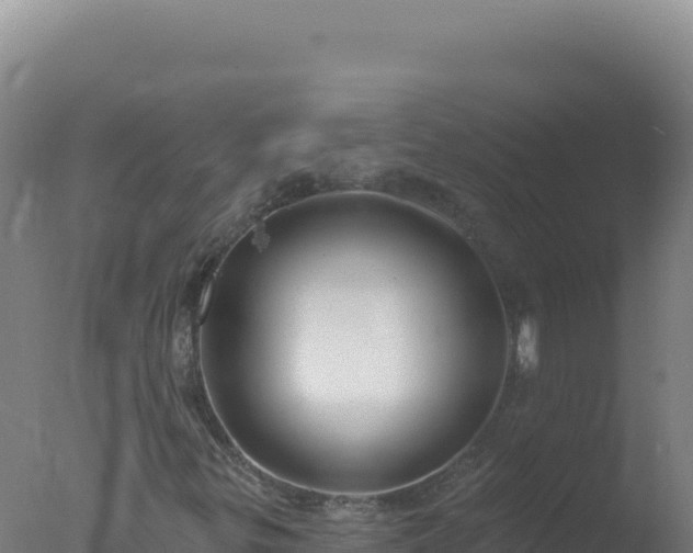 X0000077371299200610271909