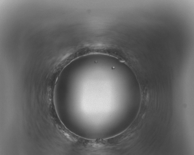 X0000077371301200610271909