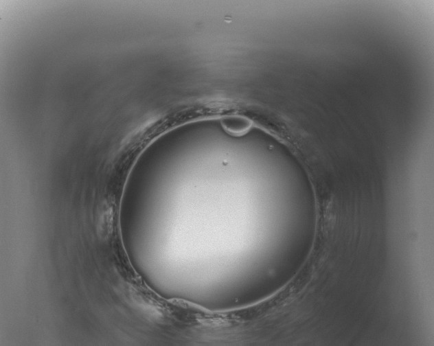 X0000077371302200610271909