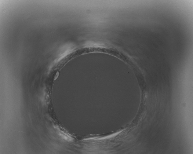 X0000077371303200610271909