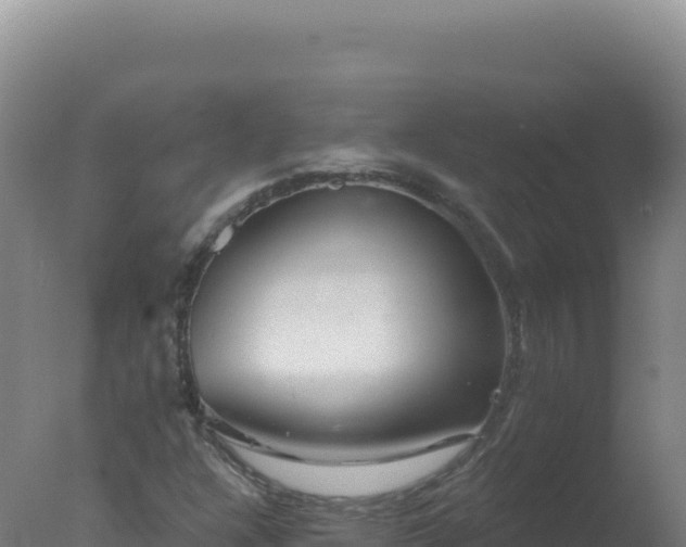 X0000077371304200610271909