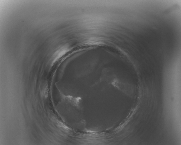 X0000077371306200610271909