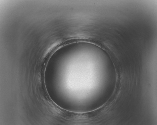 X0000077371307200610271909