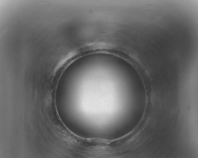 X0000077371309200610271909