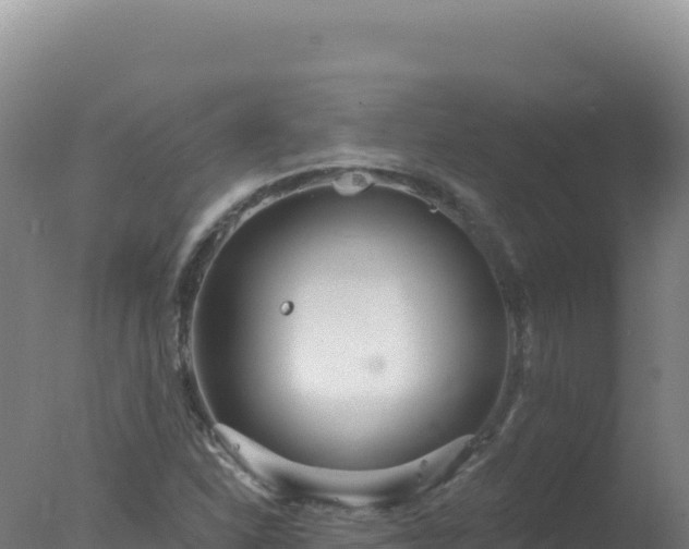 X0000077371310200610271910