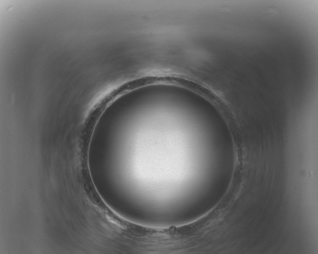 X0000077371311200610271910