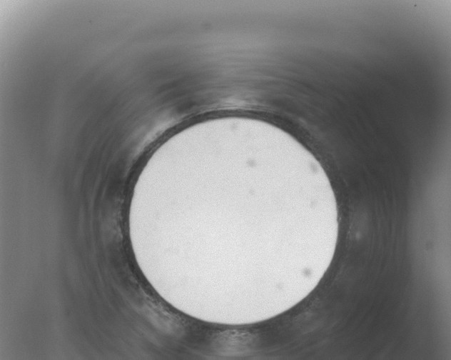 X0000077371314200610271910