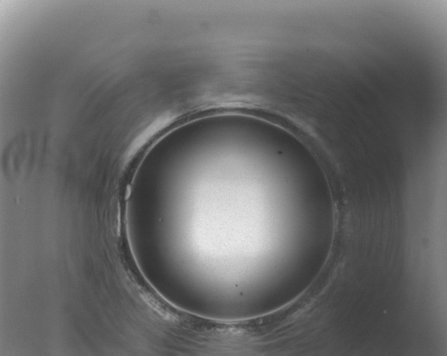 X0000077371317200610271910