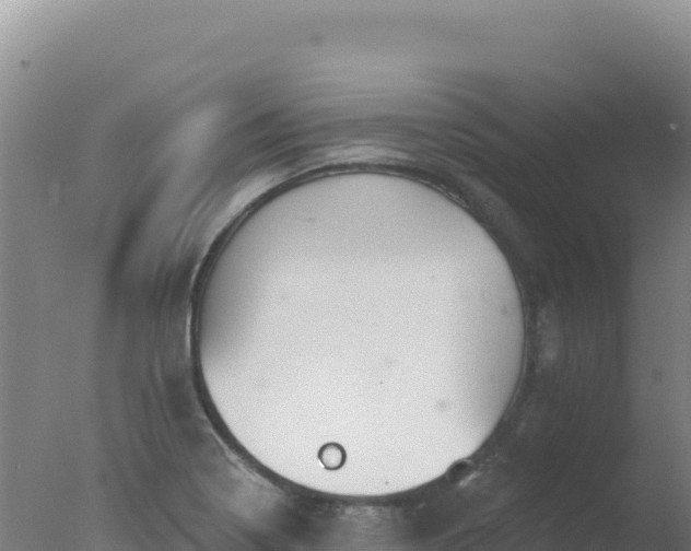 X0000077371322200610271910