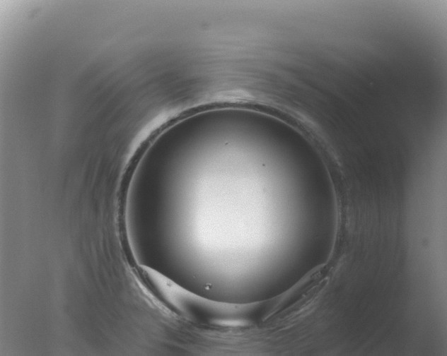 X0000077371326200610271910