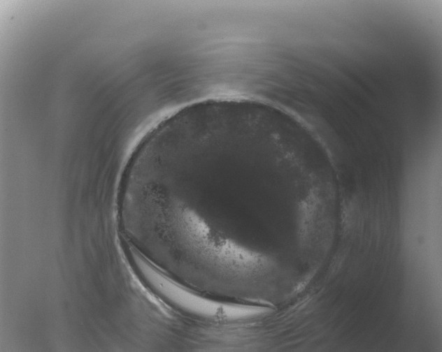 X0000077371327200610271910