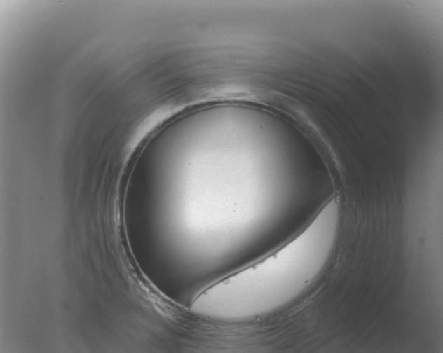 X0000077371328200610271910