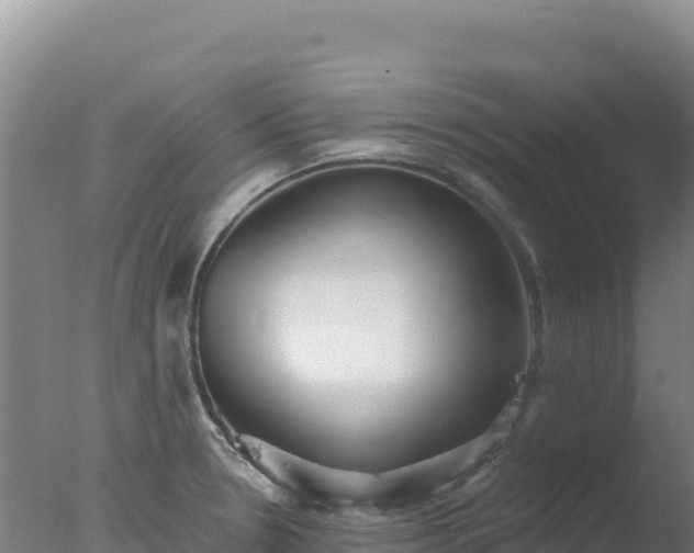 X0000077371330200610271910