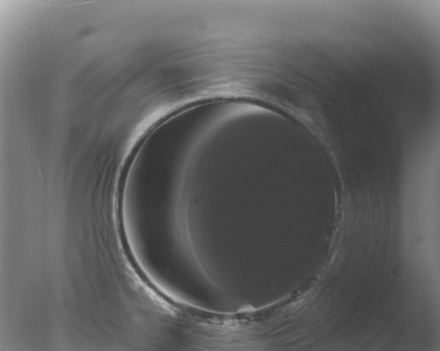 X0000077371334200610271910