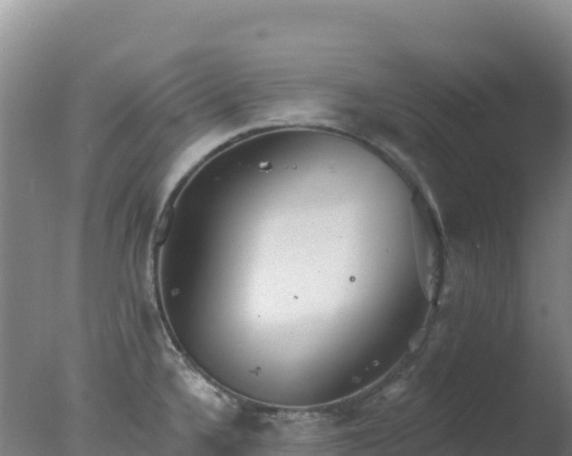 X0000077371336200610271910