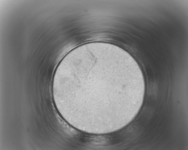 X0000077371338200610271910