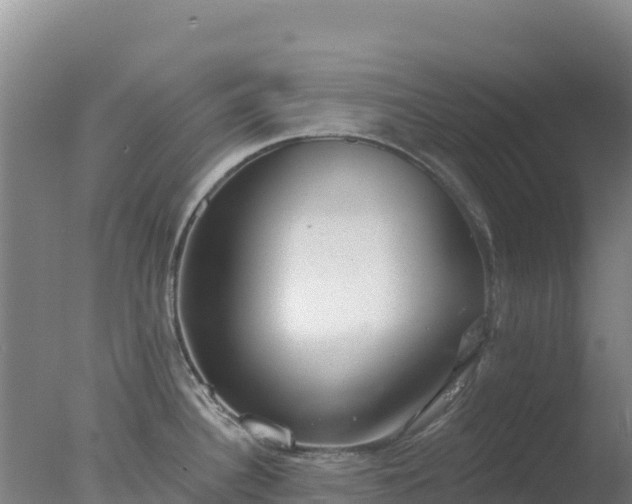 X0000077371340200610271910