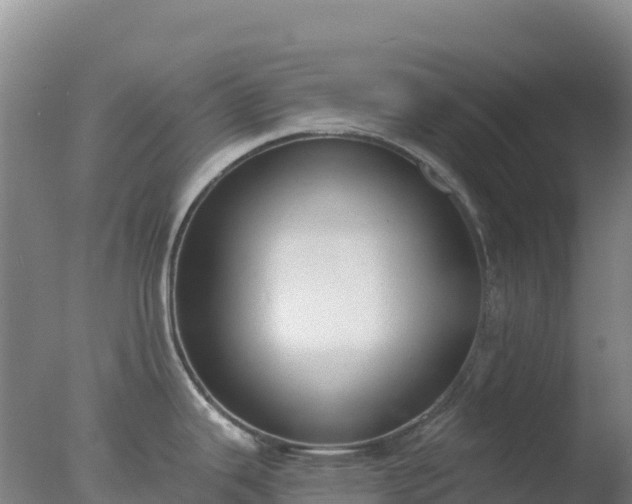 X0000077371343200610271910