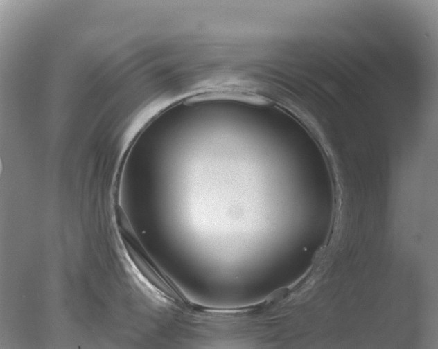 X0000077371344200610271910