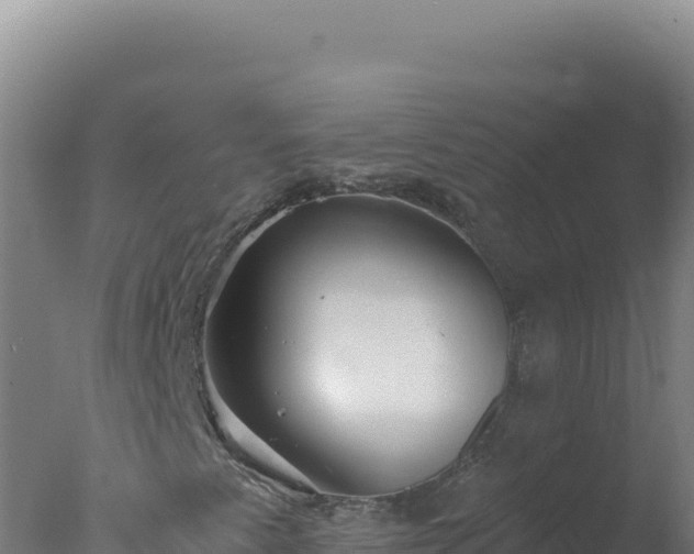 X0000077371345200610271909