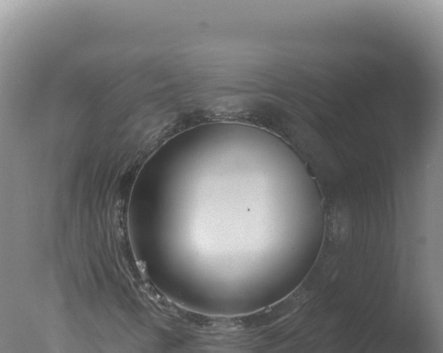 X0000077371346200610271909